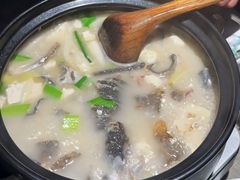 雪山鱼炖豆腐-炊烟餐厅