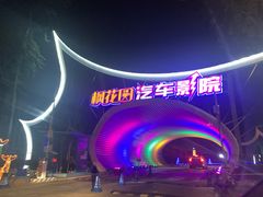 -枫花园汽车电影院(朝阳公园店)