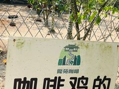 -兴隆隆苑咖啡庄园