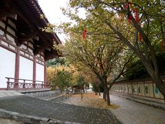 -西安青龙寺遗址景区