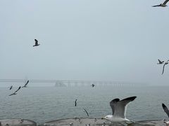 -星海广场