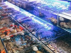 水产区-大东海海鲜酒楼(渔人码头总店)