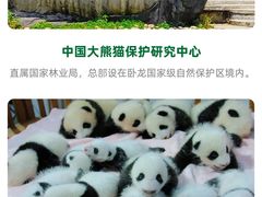 -听雨小筑茶舍(观音桥·龙湖新壹街店)