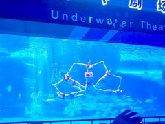 -泉城欧乐堡海洋极地世界