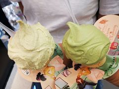 -野人先生现做冰淇淋(西安赛格店)