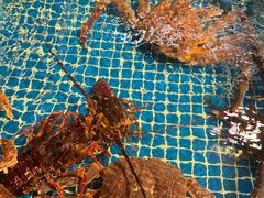 -宴·天津·海鲜火锅(宾水西道店)