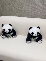 -深圳鹏爱秀琪医疗美容医院