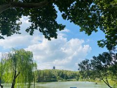 -宜兴龙背山森林公园