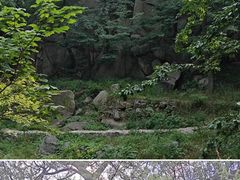 -泰山风景名胜区