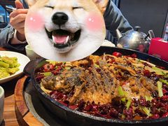 -老板恋上鱼(高新万达店)