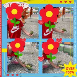 -萌宠亲子动物乐园(槐房万达店)