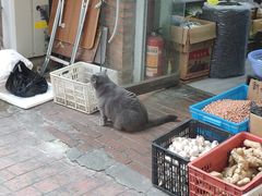 -许记大碗皮肚面馆(三条巷店)