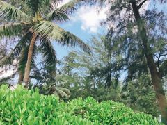 -海口喜来登酒店