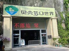 -贝壳梦幻世界