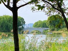 -大兴滨河森林公园