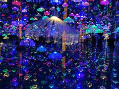 -迷斯伍德星空博物馆