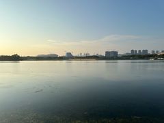 -贡湖湾湿地公园