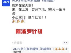 -ALPS阿尔卑斯眼镜(我格广场店)