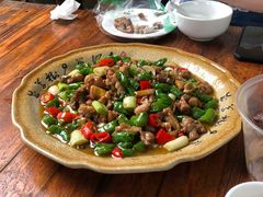 -青城甲(青城山店)