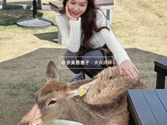 -盈香心动乐园
