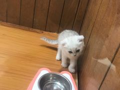 -龟与熊猫宠物公园(南坪店)