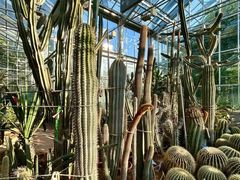 -国家植物园南园