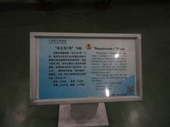 -中国航空博物馆
