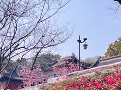 -红螺寺