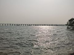 -宝安西湾红树林湿地公园