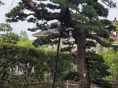 -新荣记(西溪湿地店)