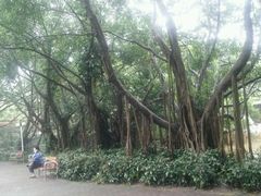 -人民公园(罗湖区)