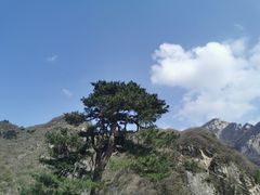 -秦岭终南山世界地质公园翠华山景区