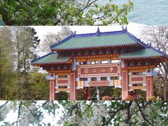 -中山公园