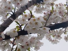 -上海山野camping·户外天幕烧烤·团建拓展营地
