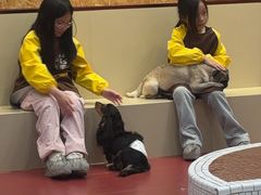-和它·交个朋友·狗咖猫咖(爱琴海店)