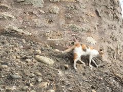 -梅黛奥拉修道院