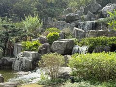 -东莞植物园