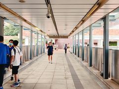 -香港大学