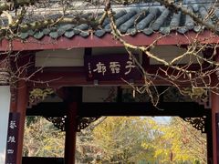 -郫都区农科村景区