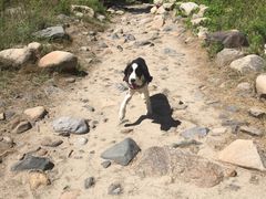 -碓臼峪自然风景区