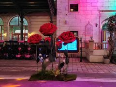 -华谊兄弟（长沙）电影小镇