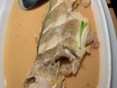 野生黄鱼-荣小馆(杭州大厦店)