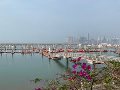 -西秀海滩公园