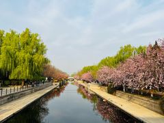 -元大都城垣遗址公园