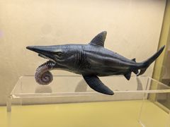 -上海中国航海博物馆