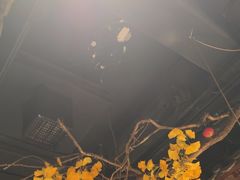 -小京华楼·京味斋(三元桥国展店)