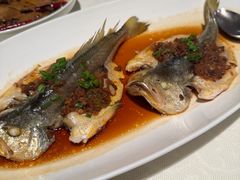 -悦海堂(金融街购物中心店)