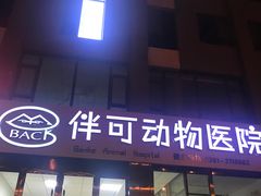 -美联众合动物医院·伴可分院·内科中心医院