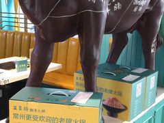 -五星桥原切肥牛火锅(怀德桥店)