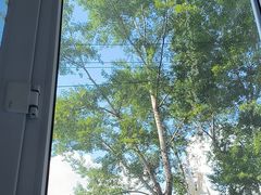 -黑龙江省森林植物园